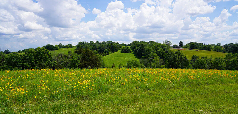 Maker's Mark Distillery