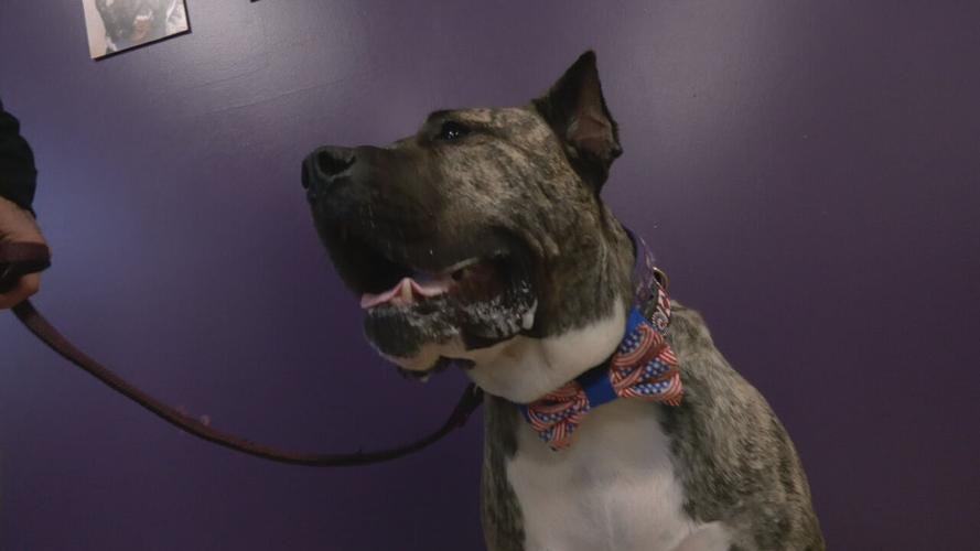 ETHAN HERO WALL (2).jpeg