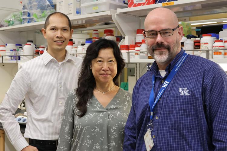 UK researchers find links between COVID and Alzheimer's group pic 2