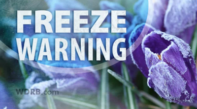 Freeze Warning Issued for Sunday Morning