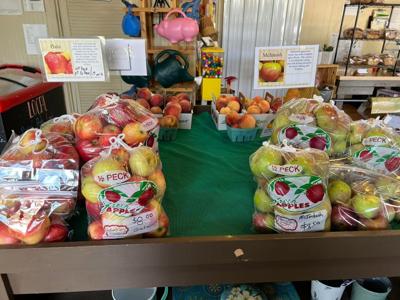 Hinton's Orchard and Farm Market apples-FB photo.jpg