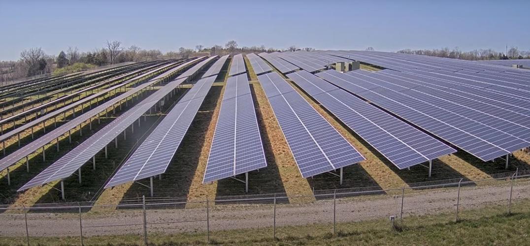 Sheep cam at solar power plant.JPG