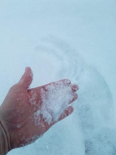 SNOW - CANTON INDIANA - MICHELLE LEE SOWDER 2.jpg