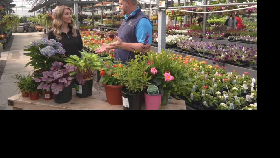 Plants-Wallitsch Gardens segment 5-22-25