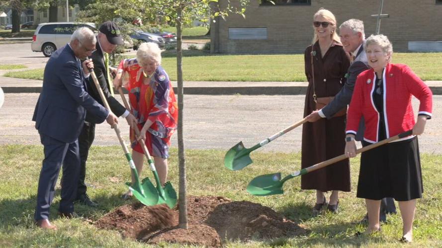 UOFL IMPACT OF TREES ON HEALTH