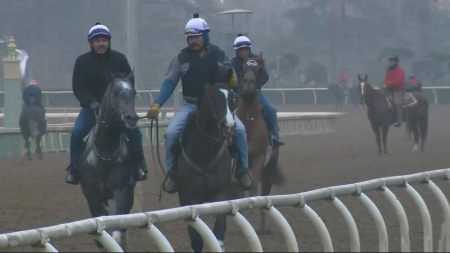 Horseracing at Santa Anita track