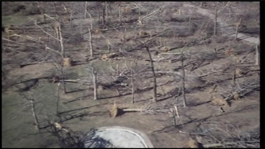 1974 TORNADO LOOKBACK PKG.transfer_frame_4673.jpg