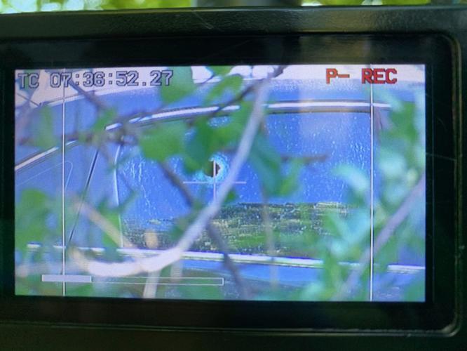 Car with bullet hole in portion of window