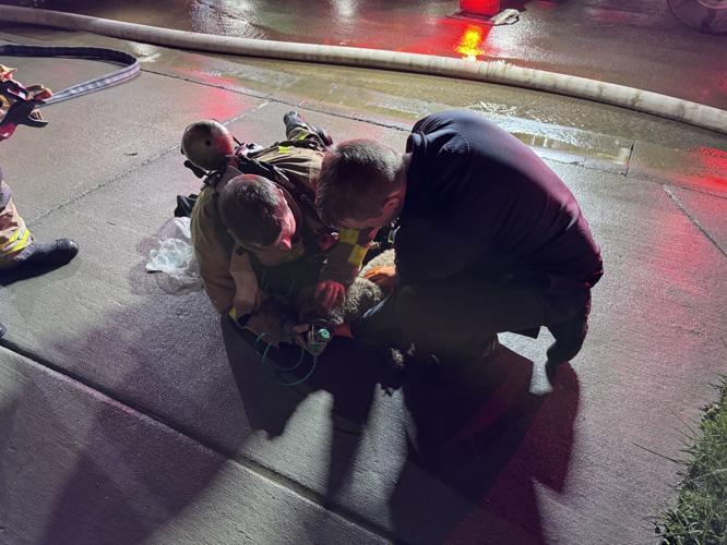 Dogs rescued from Meander Way house fire
