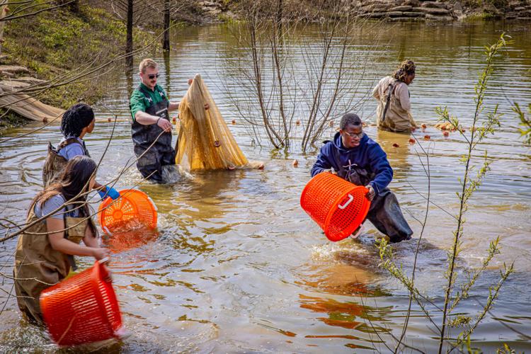 Buffalo Trace Fish Rescue (2).jpg