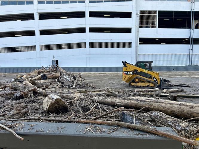 Wood and debris on River Road - Feb. 24, 2025.jpg