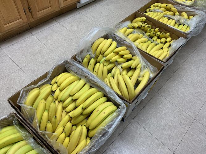 Gaslight Festival 2019 - Bananas.jpg