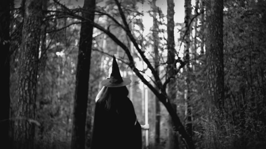 Witches' tree 1