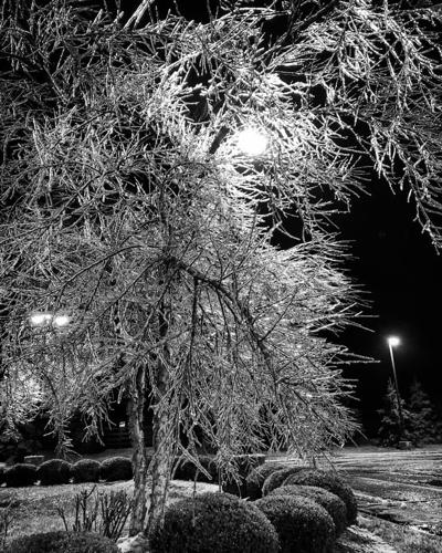 ICE - SOUTH HURSTBOURNE.jpg