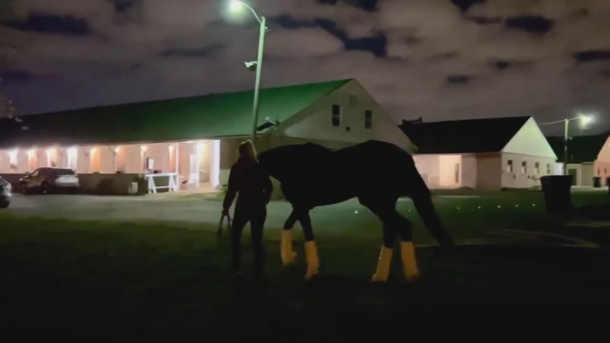 Kentucky Derby - Forte