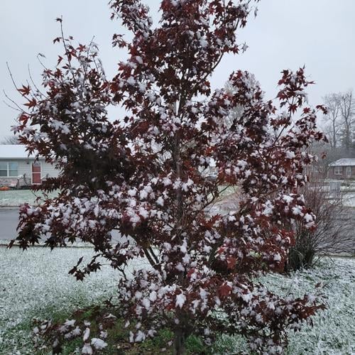 wx11222024 Seymour IN Cheryl Jackson.jpg