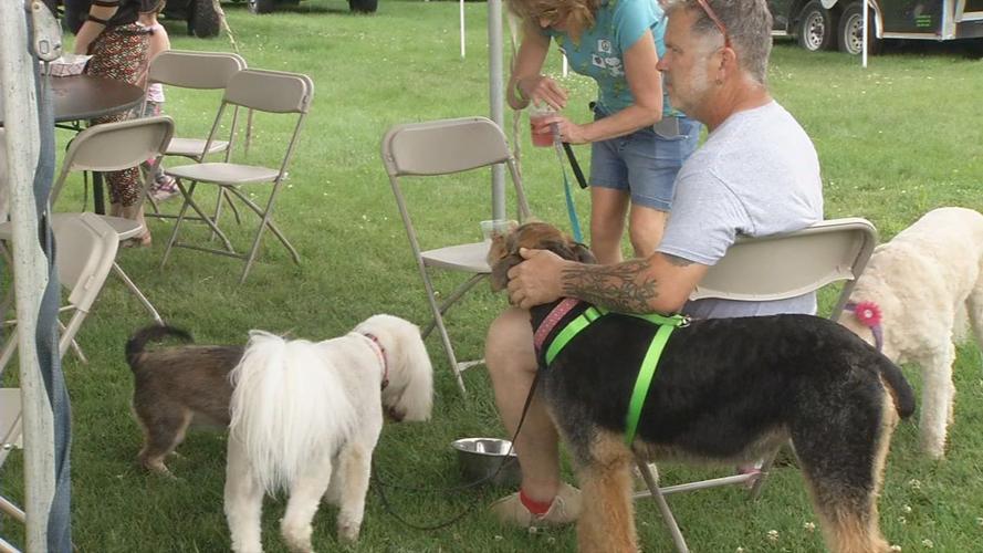 Dogs with people at Waggin Trail Walk and Festival