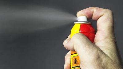 BUG SPRAY - FROM ART DEPT..jpg