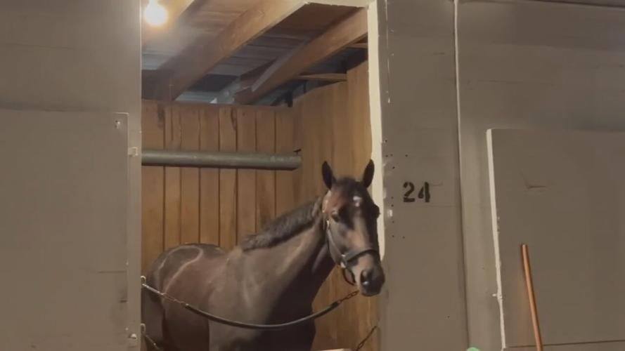 Kentucky Derby - Forte