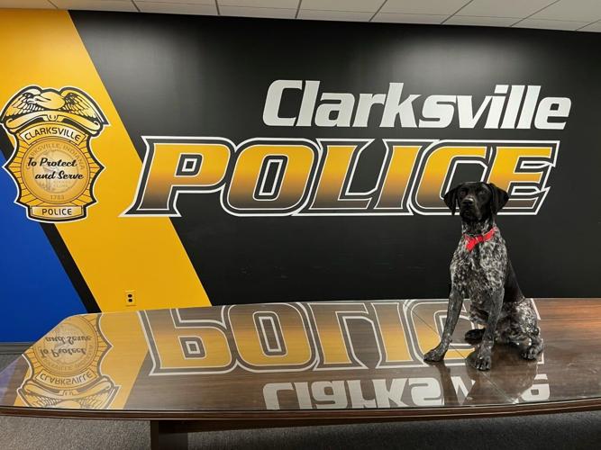 K-9 Dozer.jpg
