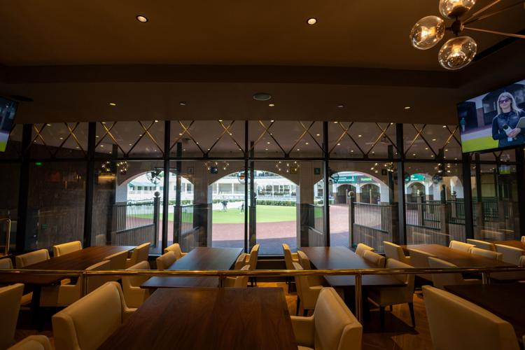 View of the Paddock from new seating area.jpeg