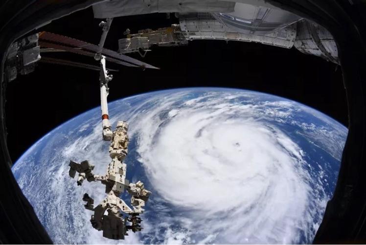 wxNGRx_Image_2.jpg