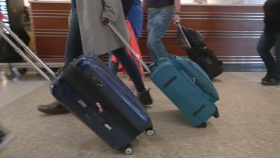 SUMMER TRAVEL - SUITCASES.jpeg