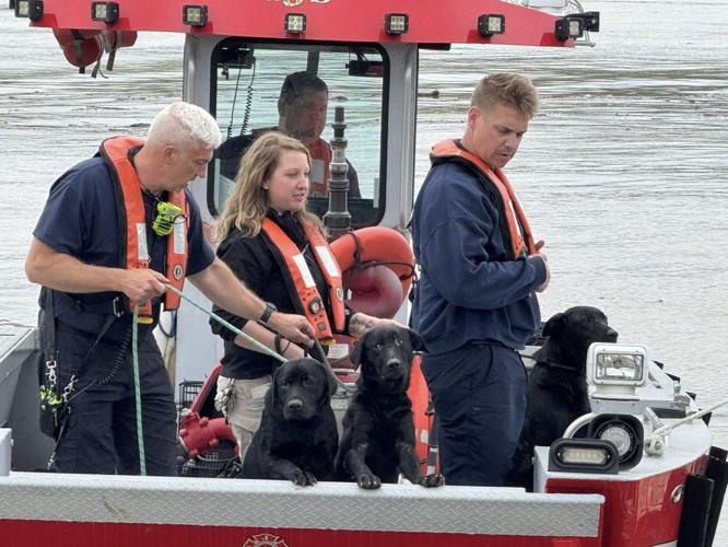 Jeffersonville FD rescues dogs 4-3-25