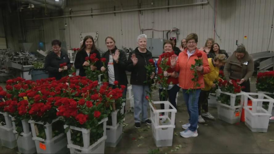 Workers at Kroger warehouse in Middletown prepare Garland of Roses