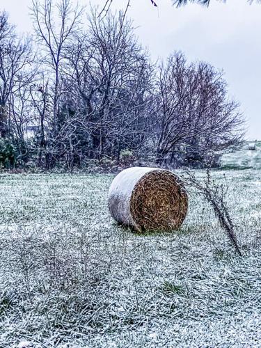 wx11222024 Bethlehem KY Crystal Gayle Snow.jpg