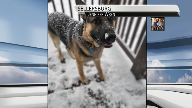 Photos of snow accumulation on Nov. 12, 2022.