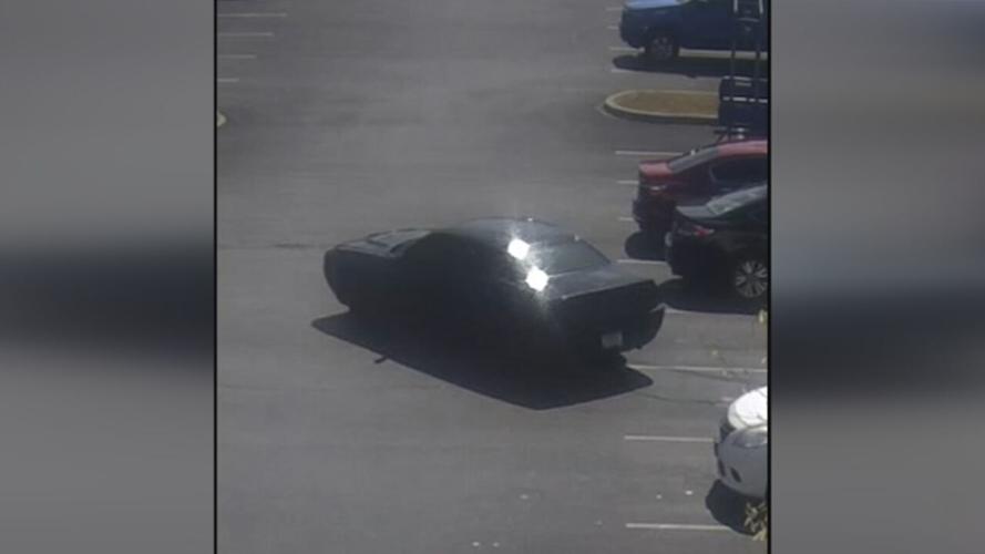 Academy Sports & Outdoors Theft Suspect