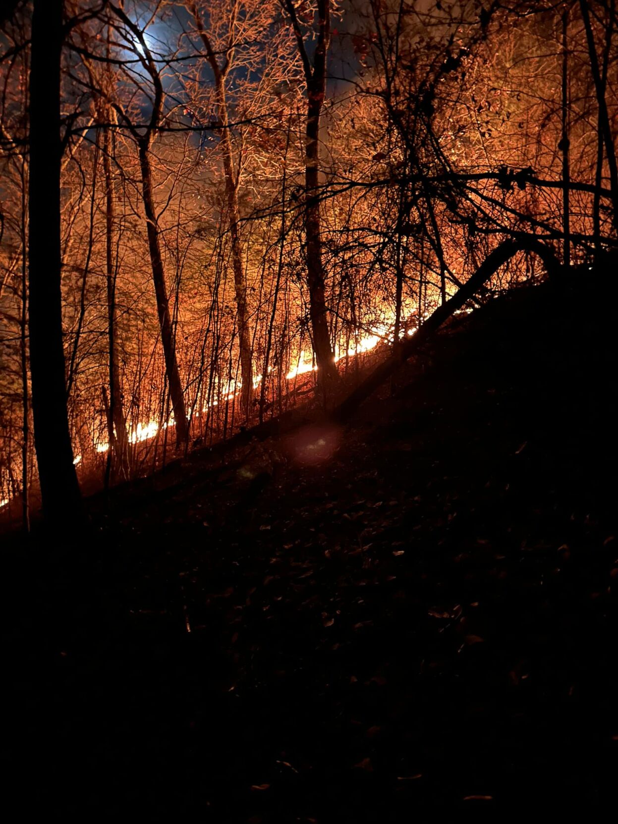 Brush fire in Borden, Indiana. Image from Tri-Township Fire and Rescue.