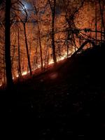Crews continue working brush fire for 2nd day in Borden, Indiana