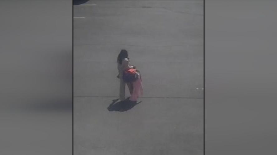 Academy Sports & Outdoors Theft Suspect