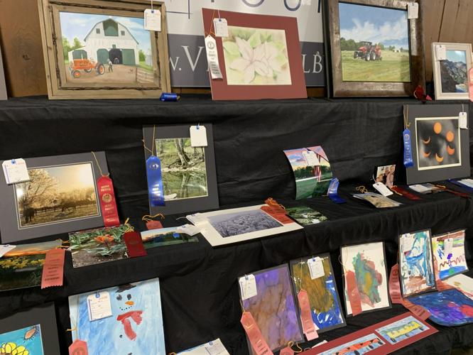 Shelby County Fair (10).JPG