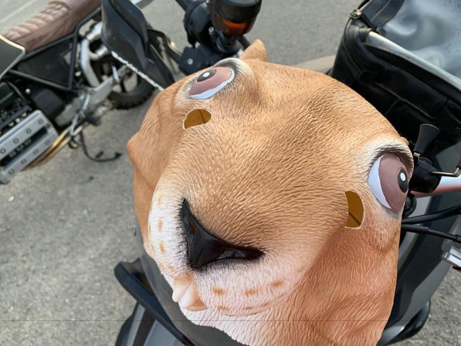 KENTUCKY KICK DOWN- KEITH KAISER PREVIEW 9-18-19  (26).jpg