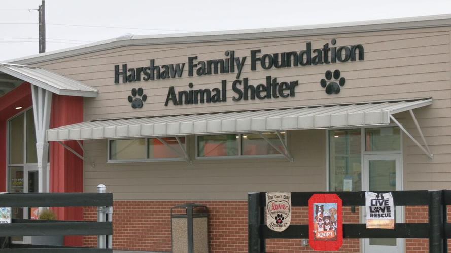 LMAS overflow (5).jpeg