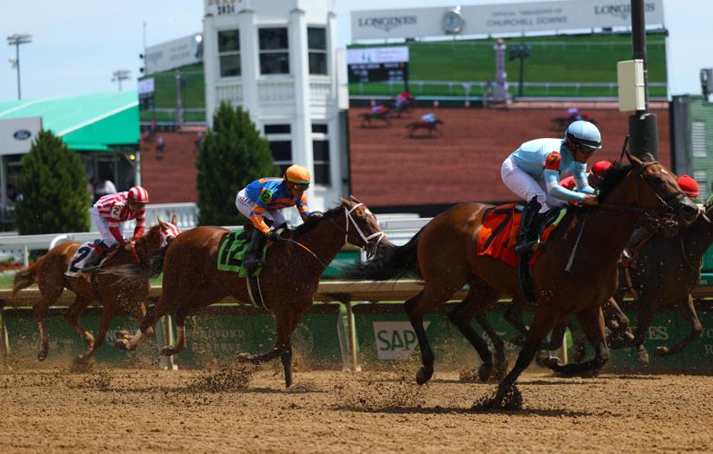 Horses compete at Thurby afternoon race.JPG