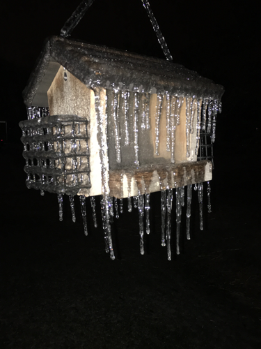 Ice on Bird Feeder