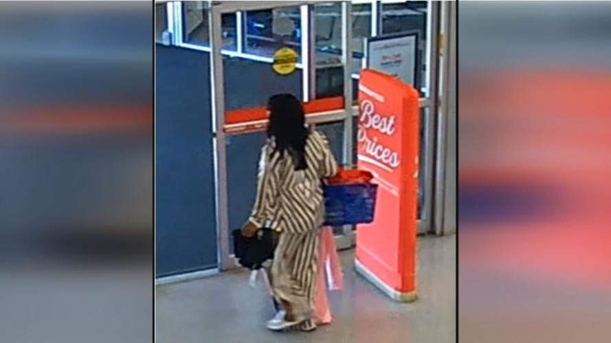 Academy Sports & Outdoors Theft Suspect