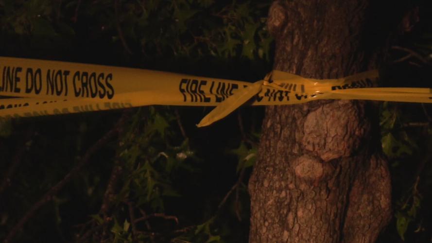 Wurtele Avenue tree on house