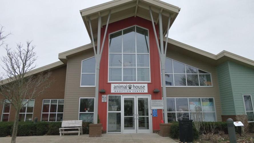 LMAS overflow (4).jpeg