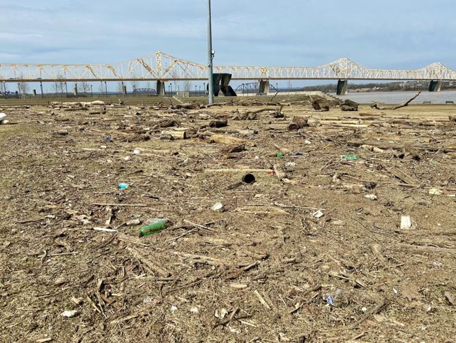 Debris on the Great Lawn - Feb. 24, 2025.jpg