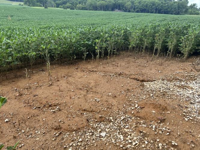 SOUTHERN INDIANA CROS.jpg