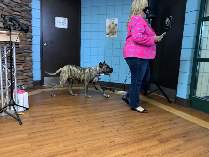 Ethan Becomes Compassion Ambassador (3).jpg