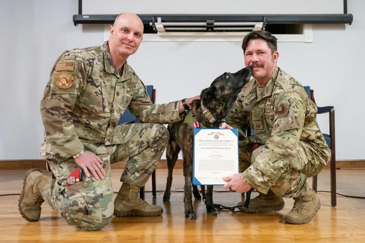 K9 Callie, only search-and-rescue dog in DOD, retires from Kentucky Air Guard
