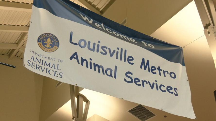 LMAS overflow (3).jpeg