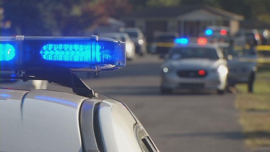 Police lights (daylight)