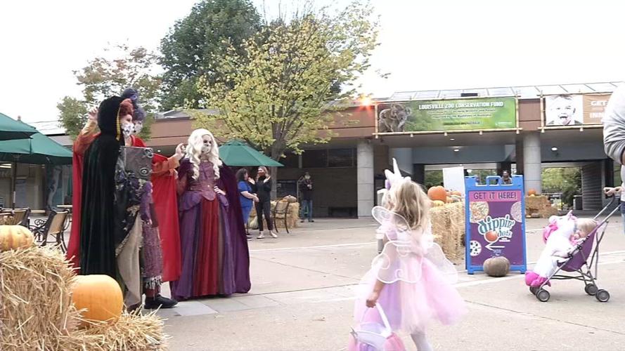 boo at the zoo 2020